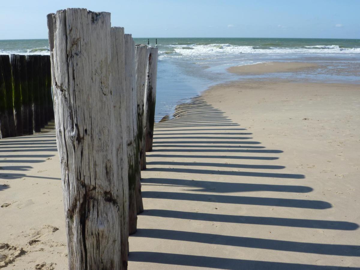 Vakantiehuis Domburg Do08 Met Sauna! エクステリア 写真